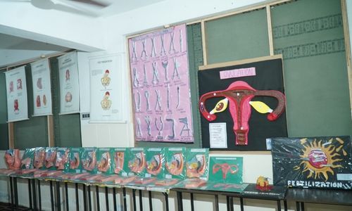 Viswashanthi College Gallery Image 10