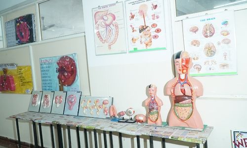 Viswashanthi College Gallery Image 15